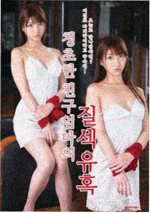长夜漫漫封面